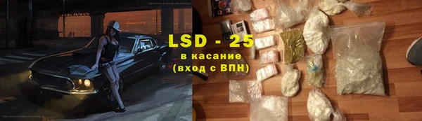 прущий лед Алзамай