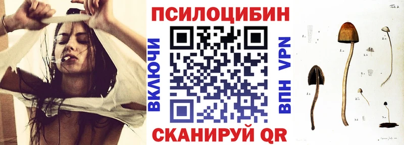 Псилоцибиновые грибы Psilocybe  Тайшет 